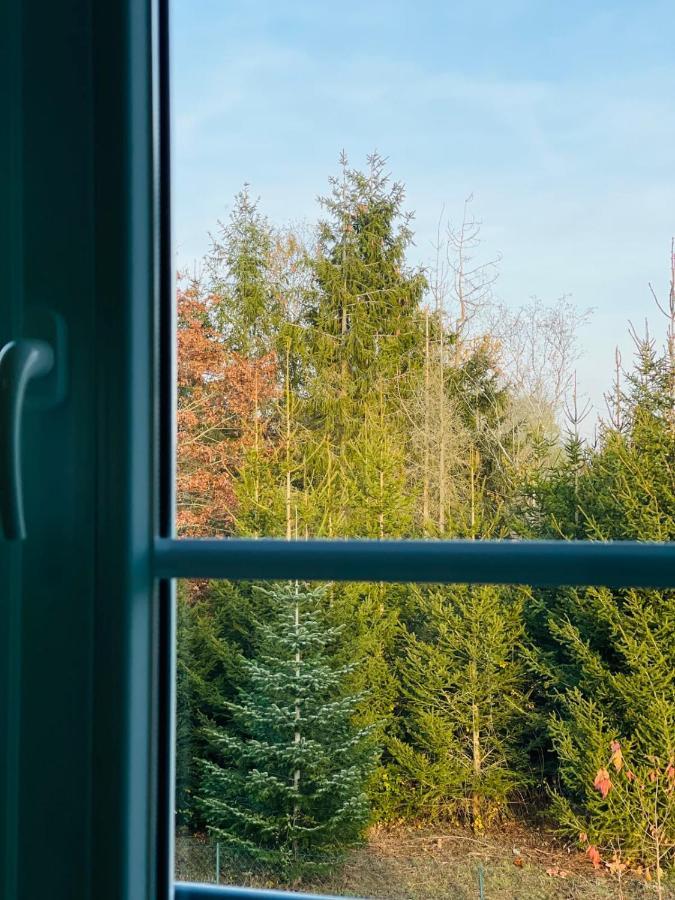Apartment "Le Briand" Charming Base For Your Sightseeing In Touraine Noizay Exterior foto